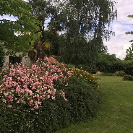 Spacieux Avec Piscine Et Parc Arbore Clos 別荘 Lanzac